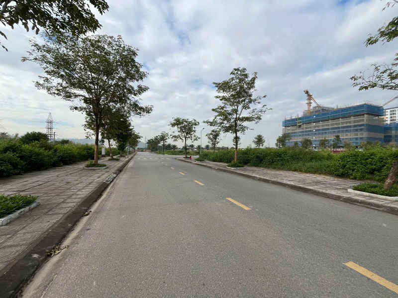 BÁN ĐẤT DỰ ÁN KHU ĐÔ THỊ THƯƠNG MẠI NHÀ Ở CÔNG NHÂN TRÀNG DUỆ – XÃ LÊ LỢI, AN DƯƠNG, HẢI PHÒNG